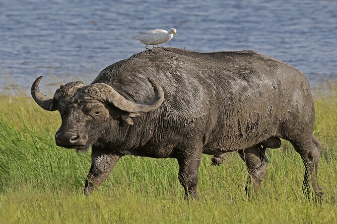 6 Days Private Tour With Two National Parks and More - Meeting Points and Pickup Details