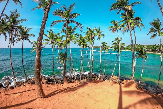 6 Days Private Vehicle With Driver Explore Sri Lanka By Your Own Plans - Overview of the 6-Day Tour