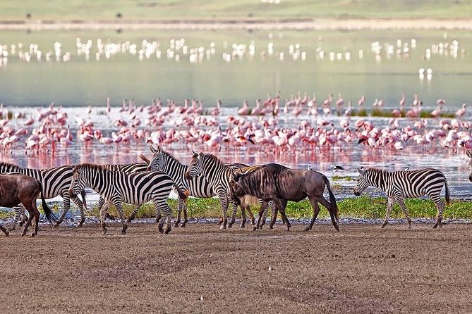 6 Days Safari Lake Manyara, Serengeti, Ngorongoro Crater - Accommodation Details