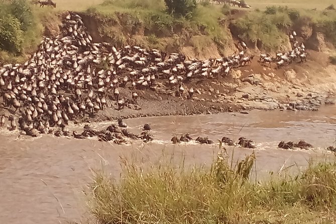 6 Days Safari to Maasai Mara N/R, Lake Nakuru N/P, Hells Gate N/P Lake Naivasha.
