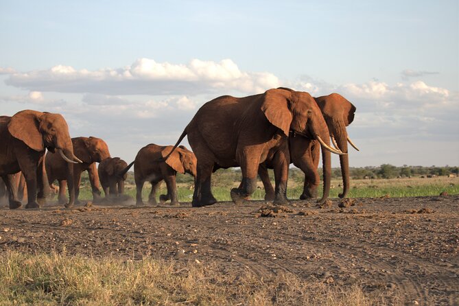 6 Days Safari Tour in Amboseli, Tsavo West and Tsavo East