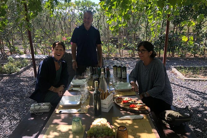 6-Hour Activities on Etna With Wine and Olive Oil Tasting