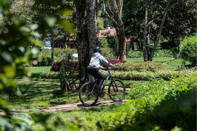 6-Hour Private Zipline Experience Safari Tour