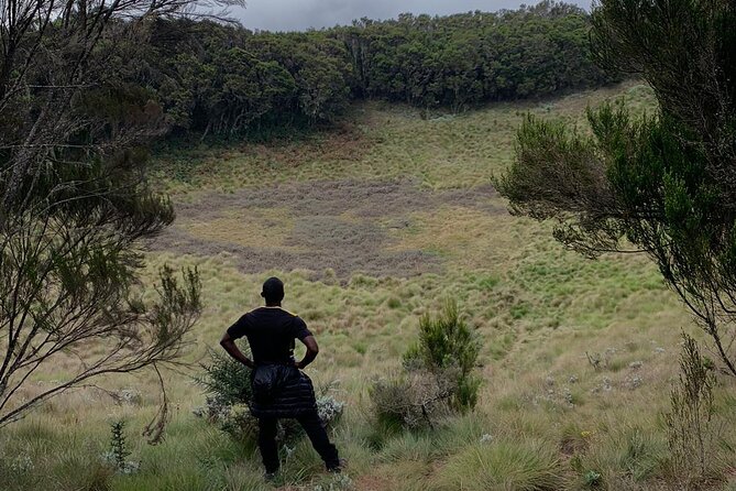 6 Hours Kilimanjaro Day Hike to Mandara Hut and Maundi Crater - Inclusions and Meeting Details