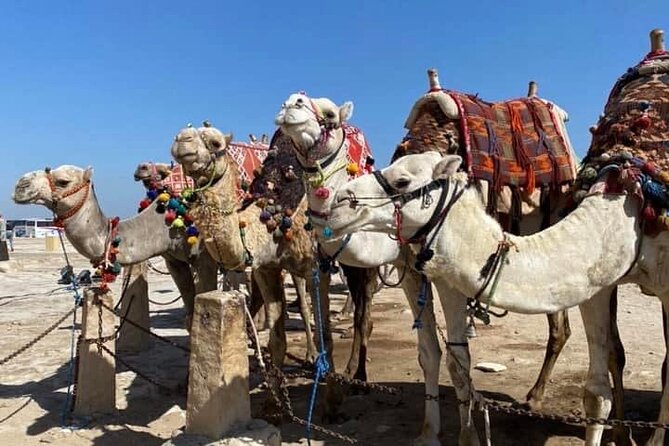 6 Hours Pyramids of Giza & the Grand Egyptian Museum - Tour Overview