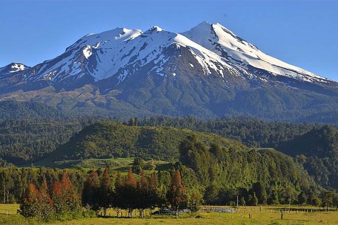 6 Hours Shared Tour in Calbuco and Millennial Forest