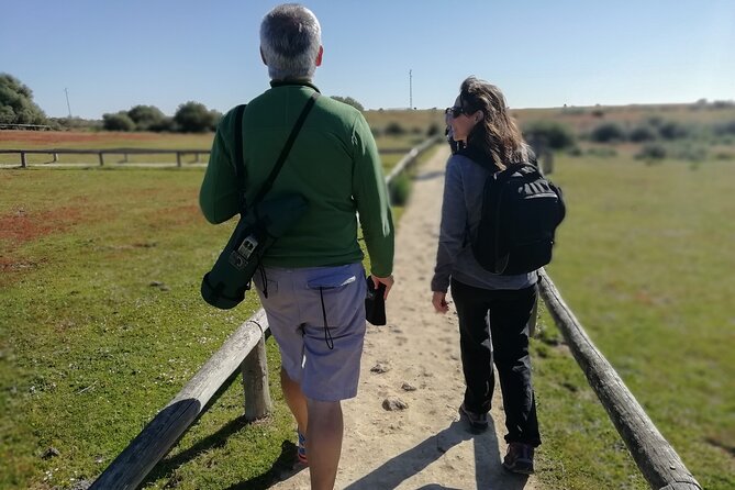 6 Hrs Private Tour of Northern Doñana