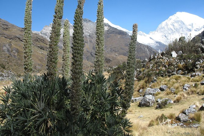69 LAKE - HUASCARAN NATIONAL PARK / CORDILLERA BLANCA Camping - Overview of 69 Lake