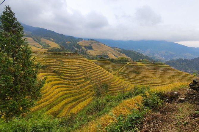 7-Day China Private Tour With Shanghai Zhangjiajie and Guilin - Itinerary Overview