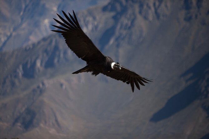 7-day Classic Arequipa Tour Package
