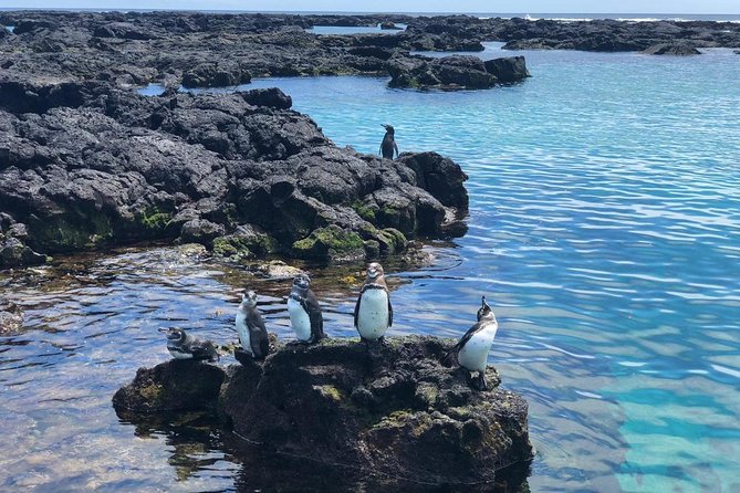 7-Day Galapagos Experience Santa Cruz & Isabela - Transportation Information