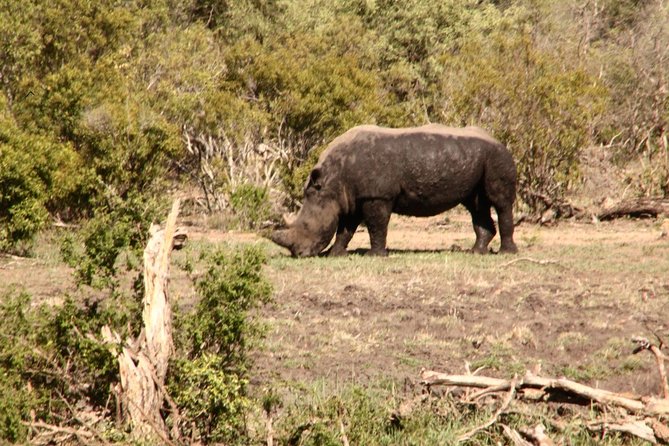 7 Day Guided Safari Tour in Kenya and Tanzania