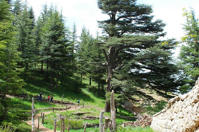 7-Day Lebanon Private Tour With Airport Pickup