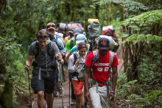 7 Day Rongai Kilimanjaro Summit - Itinerary Details