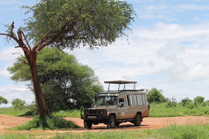 7 Day Tanzania Camping Safari Private Tour