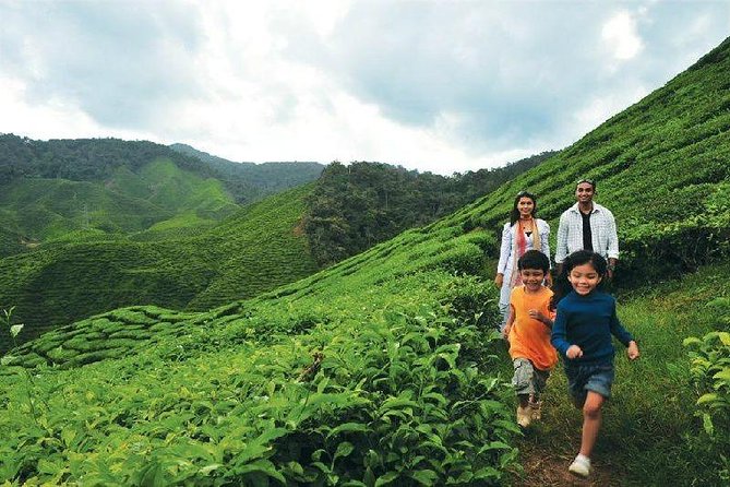 7-Day Wonders of Malaysia Overland Tour - Accommodation Details