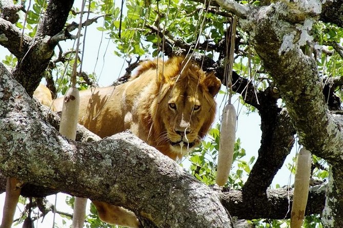 7 Days / 6 Nights Join Group Safari