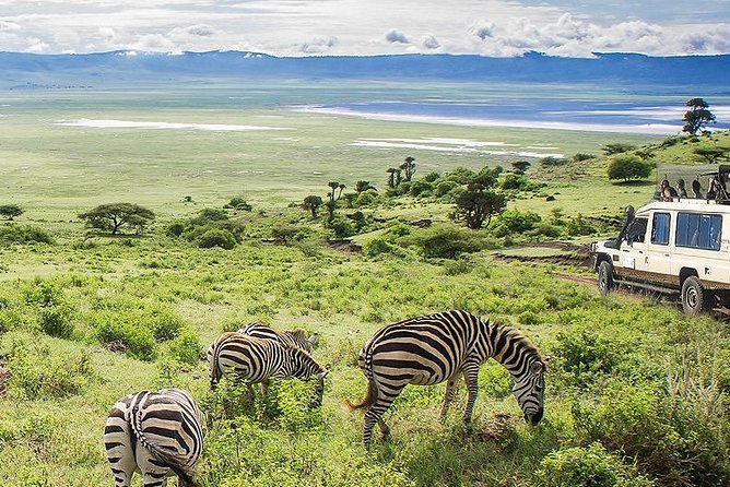 7 Days / 6 Nights Safari To Tarangire / Lake Manyara / Ngorongoro / Serengeti
