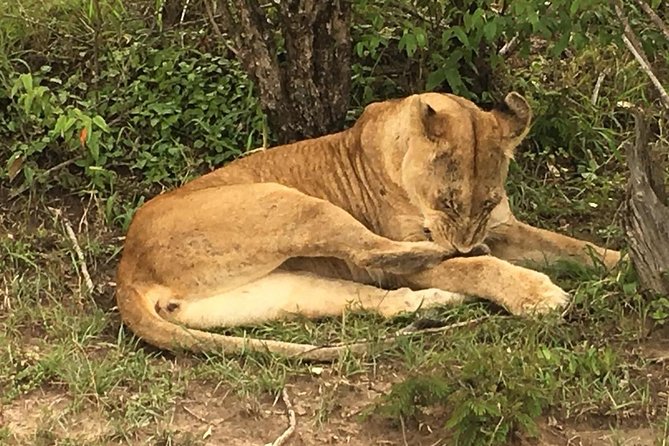 7 Days Adventurous Maasai Mara – Naivasha – Nakuru – Amboseli - Day 1: Arrival in Nairobi