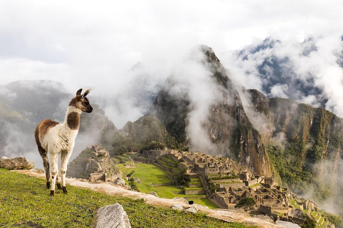 7 Days Andean World From Lima - Itinerary Highlights