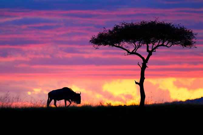 7 Days Kenya and Tanzania Wildlife Safari