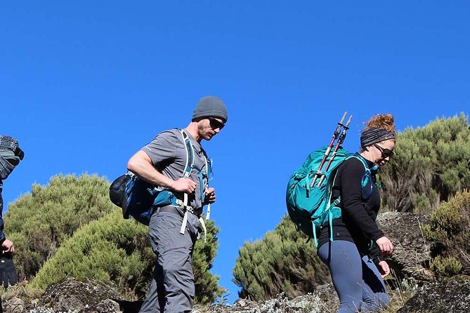 7 Days Mount Kilimanjaro- Marangu Route - Trip Overview