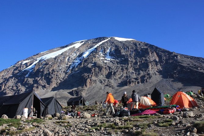 7 Days Mount Kilimanjaro Rongai Route Climb - Itinerary