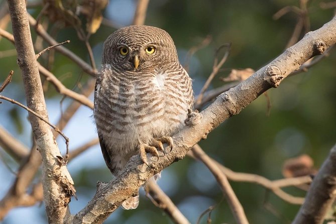 7 - Days Private Golden Triangle Tour With Bird Sanctuary - Tour Itinerary