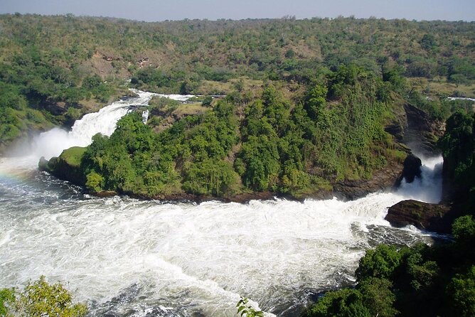 7 Days Private Safari Tour in Uganda