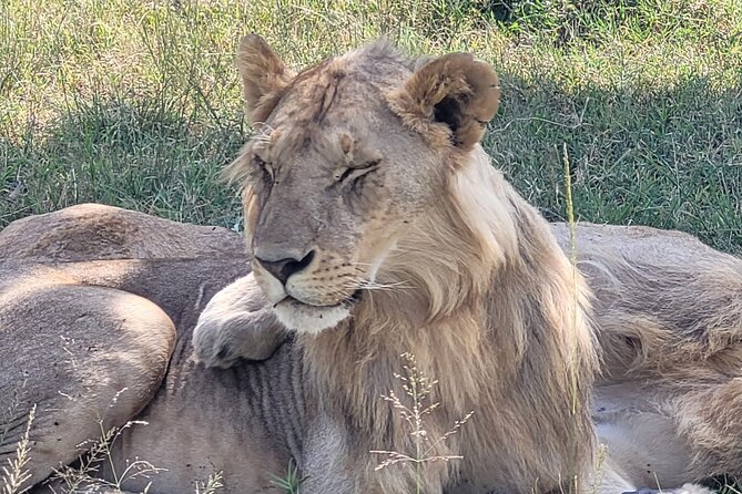 7 Days Safari Tour Starting From Mombasa - Day 1: Departure From Mombasa