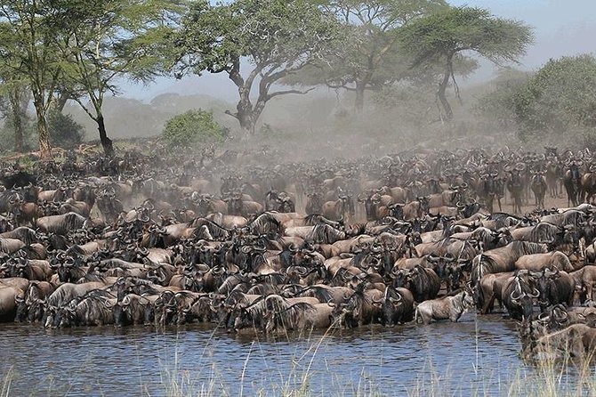 7 Days - Serengeti Wildebeest Migration Safari - Accommodation Details