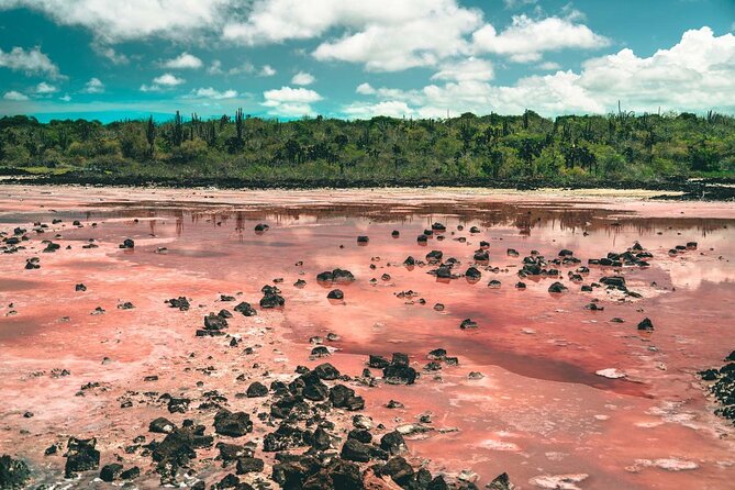 7 Days Tour in Quito and Santa Cruz/Galapagos - Best of Ecuador - Accommodation Details