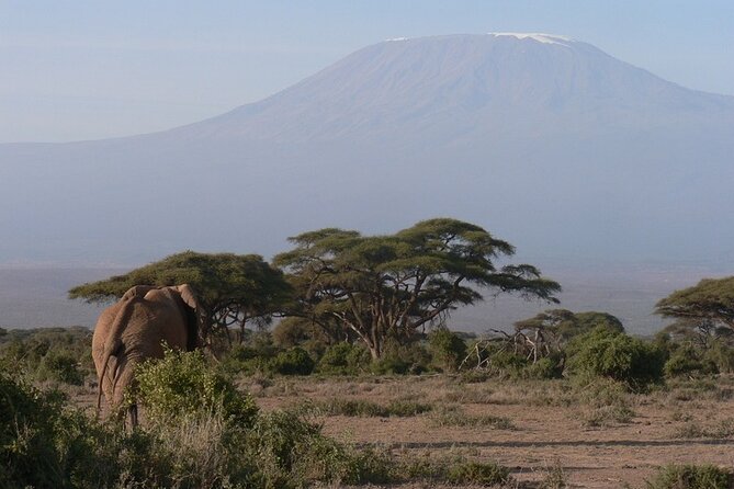 8-Day Private Safari Tour in Nairobi Kenya - Tour Overview
