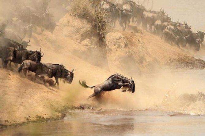 8 Days, 7 Nights Masai Mara, Lake Nakuru, Lake Naivasha, Samburu And Aberdares