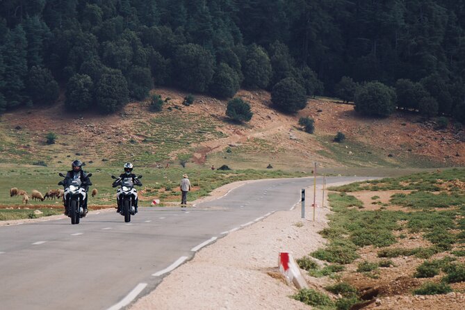 8 Days Motorcycle Tour in Morocco - Tour Overview