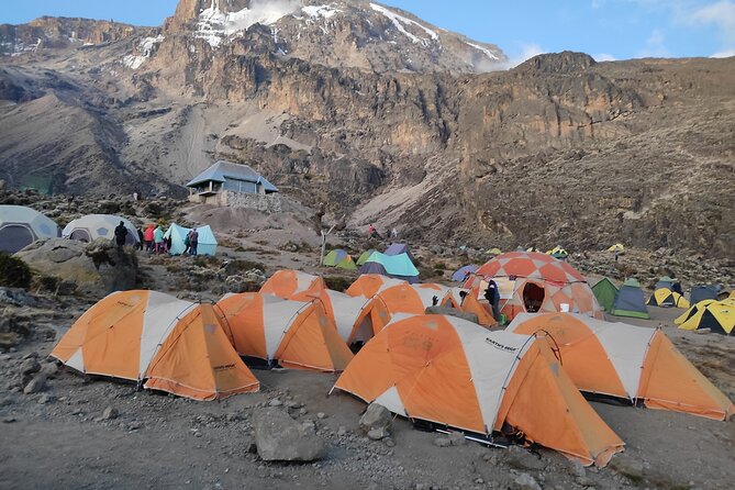 8 Days Mount Kilimanjaro Climb Lemosho Route