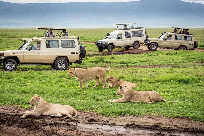 8-Days Private Luxury Safari: Tarangire, Serengeti & Ngorongoro - Safari Itinerary Overview