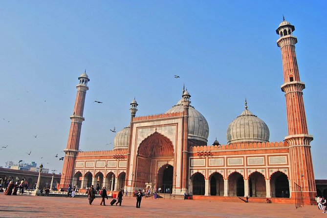 8-Days Private Tour From Delhi to Agra, Jaipur, Pushkar, Jodhpur and Udaipur - Tour Itinerary