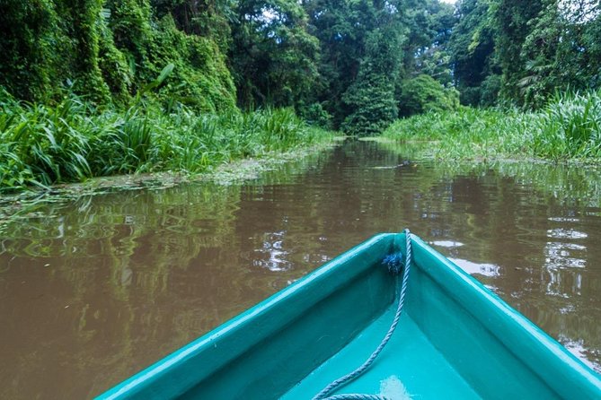 8 Days Supersaver | Costa Rica Essentials Plus From San Jose