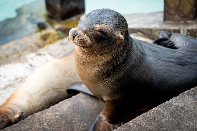 8 Days Trip to Galapagos Island – Discover the Wildlife