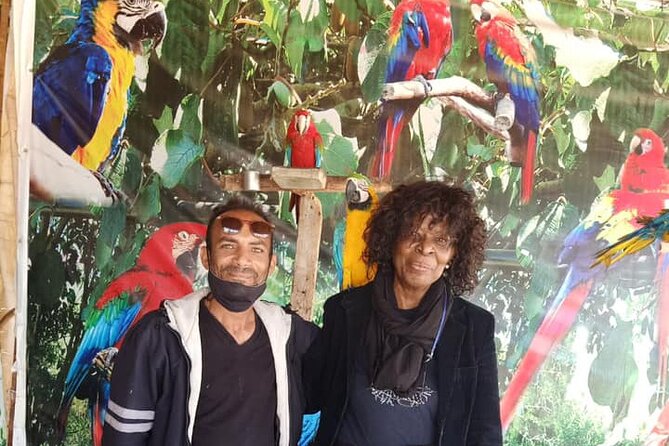 8-Hour Africa Safari Park Private Tour From Cairo With Hotel Pickup and Drop-Off - Tour Overview