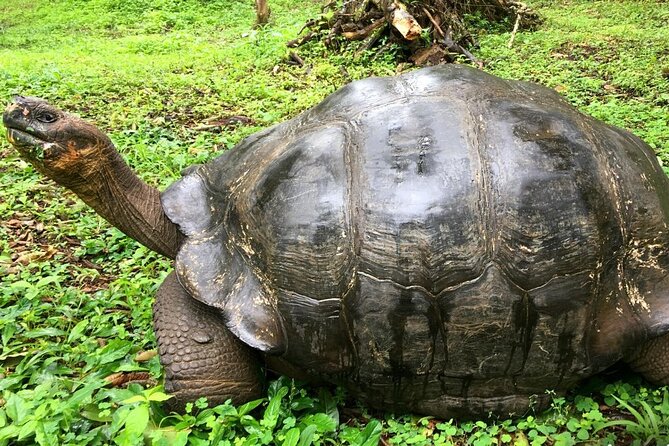 9-Day Galapagos Islands Family Friendly Tour With Kids