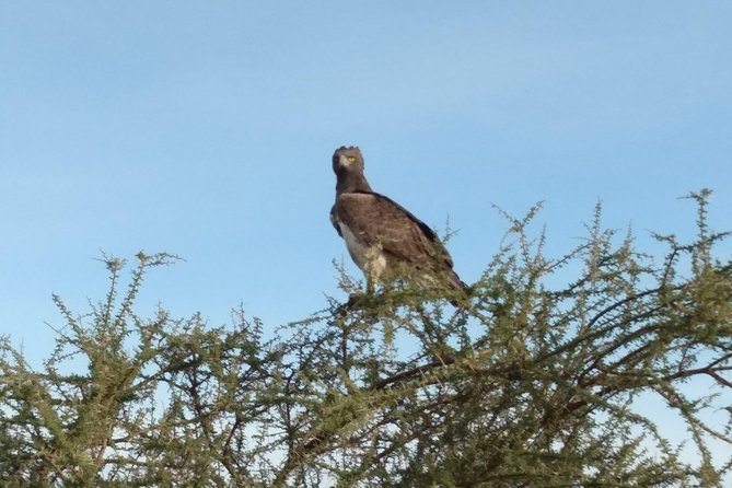 9 Days 8 Nights Safari