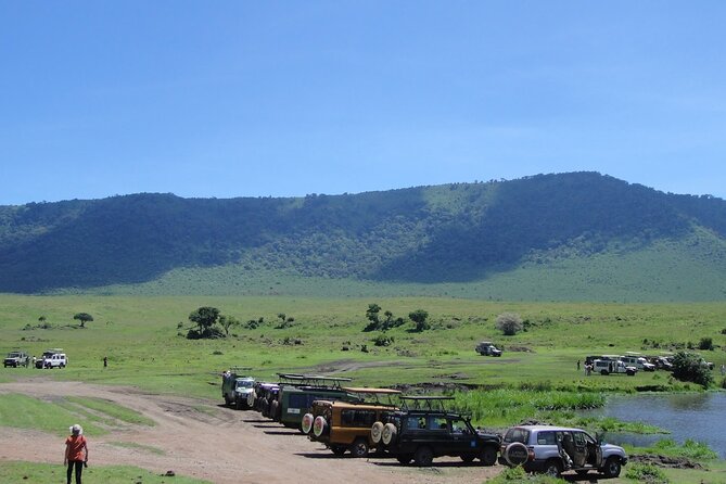9-Days Private Luxury Safari: Tarangire, Serengeti & Ngorongoro - Safari Activities and Excursions
