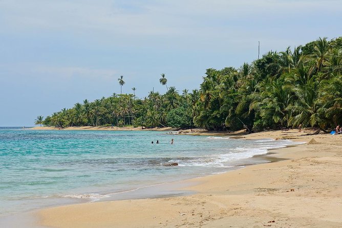 9 Days Volcanoes, Nature and Caribbean From San Jose