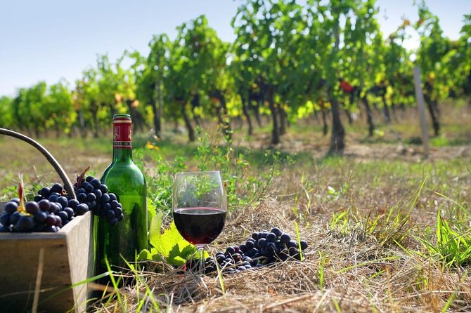 9-Hour Cultural Tour in Athens and Nemea Wine Tour Shore Excursion - Tour Duration and Location