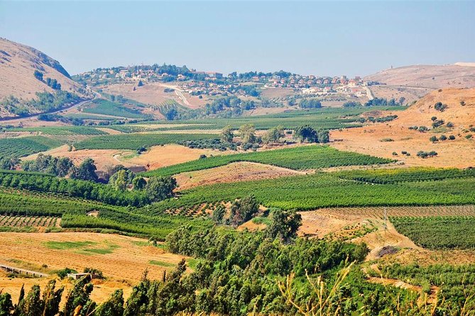 9-Night Israel Tour With Petra From Tel Aviv - Inclusions and Exclusions