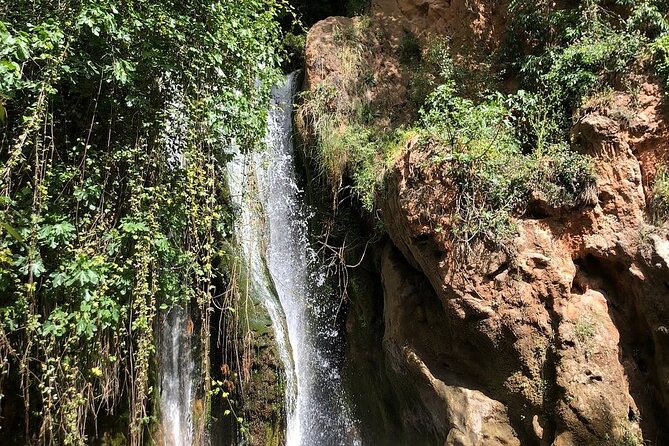A Day From Fez to the Middle Atlas Mountains in a Group