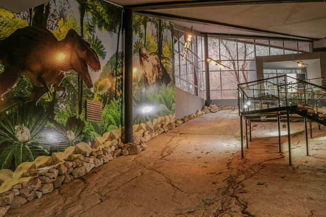 A Dinosaur Footprint Tour & Natural Reserve Discovery