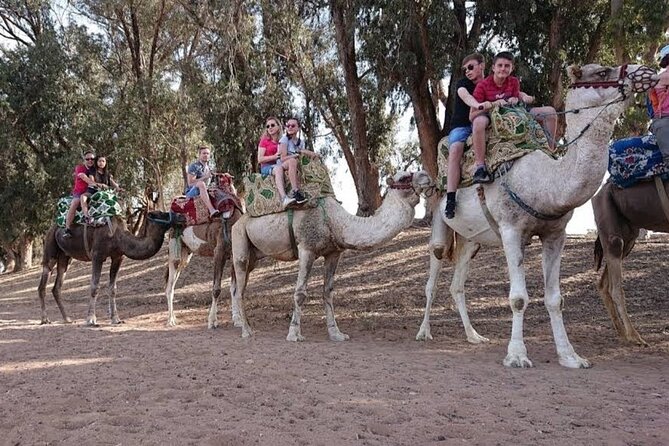 A Full-Day With Camel Riding, Jetski and Quad Biking - Location Details